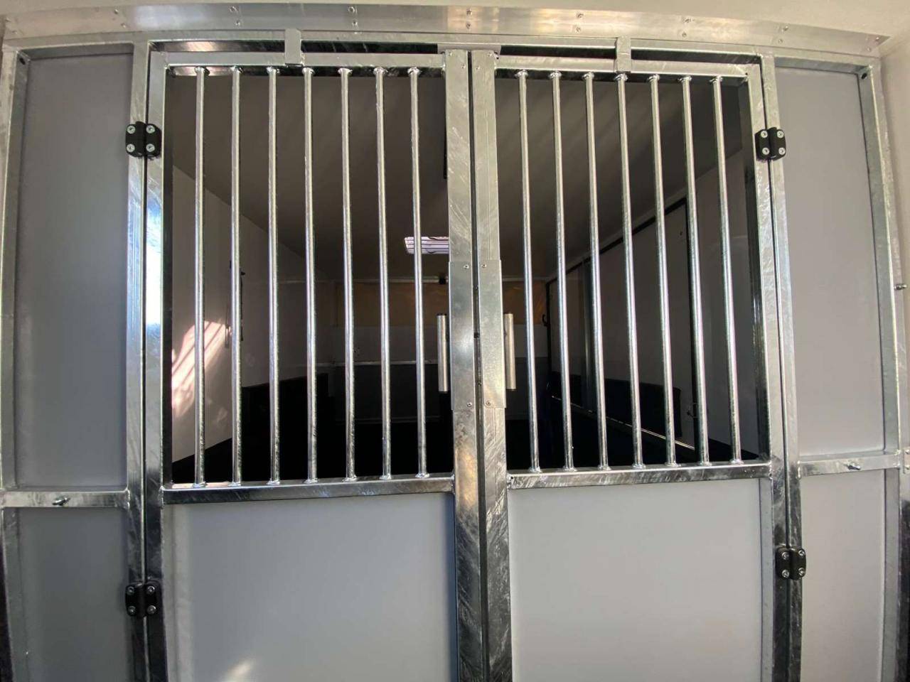 Furgoneta para caballos Opel Movano 2021 Nuevo