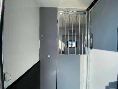 Furgoneta para caballos Opel Movano 2021 Nuevo