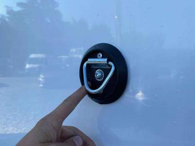 Furgoneta para caballos Opel Movano 2021 Nuevo