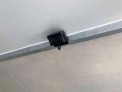 Furgoneta para caballos Opel Movano 2021 Nuevo