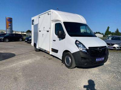 Furgoneta para caballos Opel Movano 2021 Nuevo