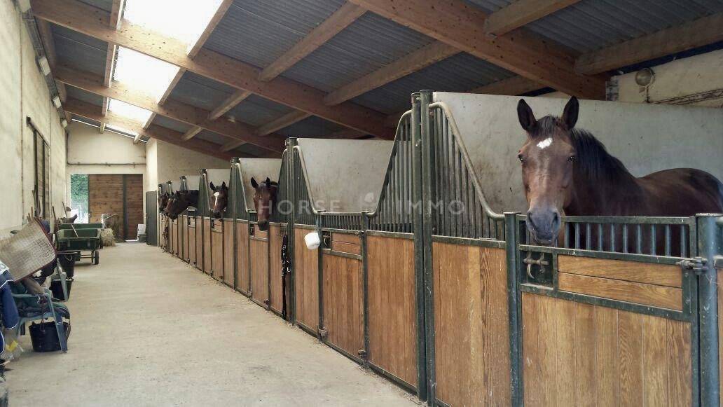 Propiedad ecuestre En venta Alta Saboya