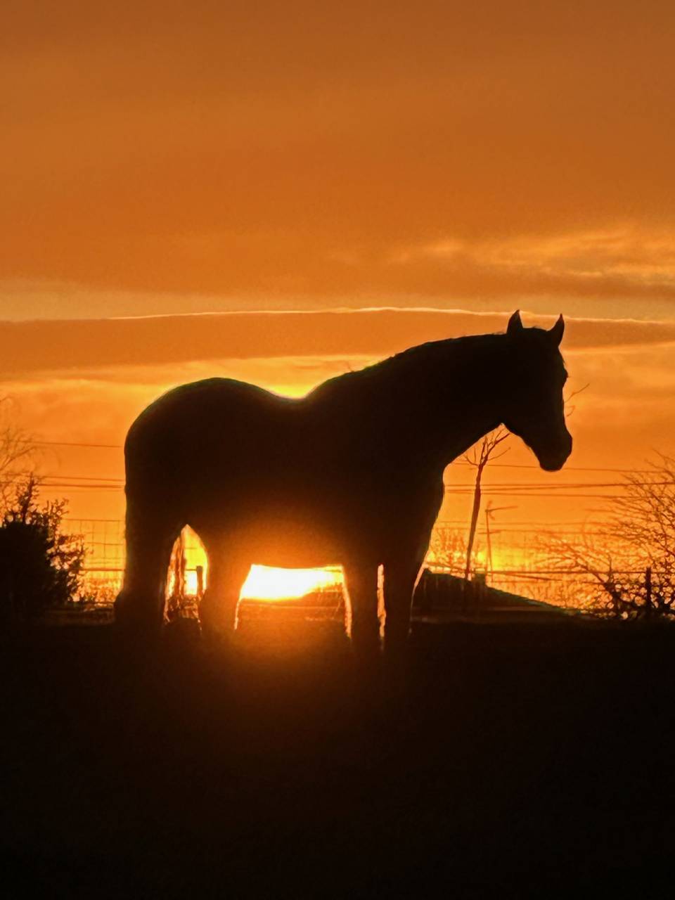 Propiedad ecuestre En venta Landas