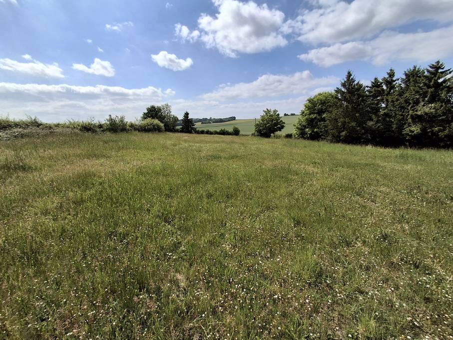 Propiedad ecuestre En venta Yonne