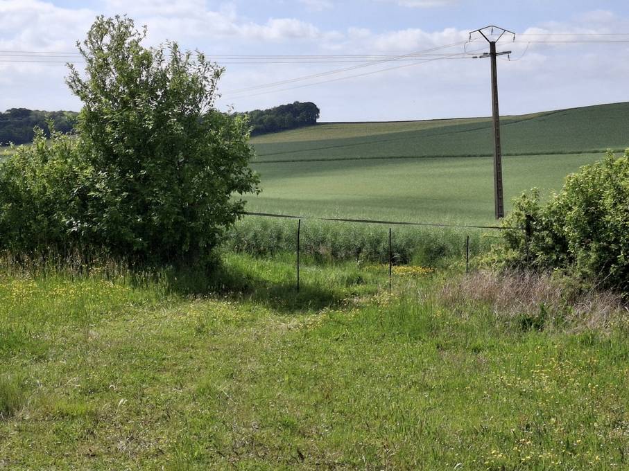 Propiedad ecuestre En venta Yonne