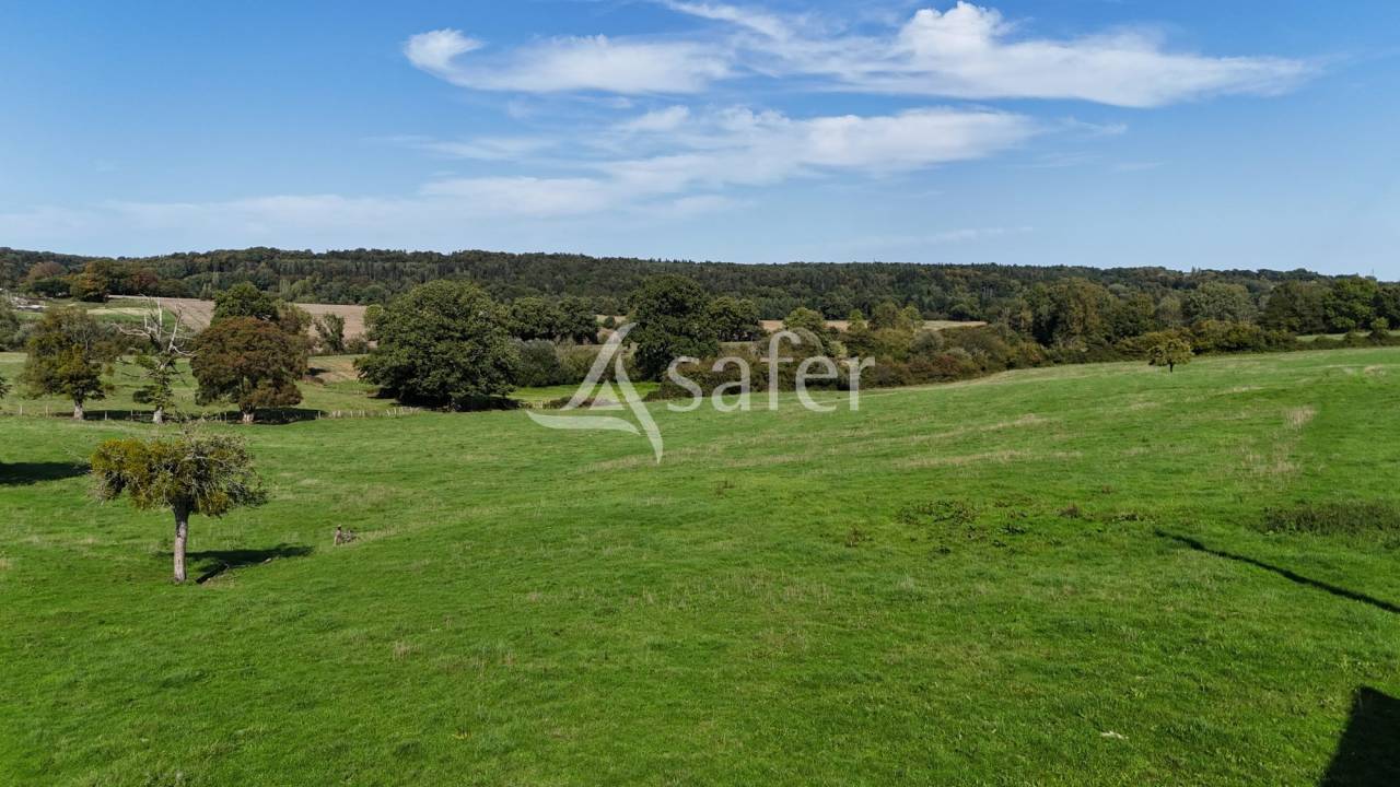 Explotación forestal En venta Orne