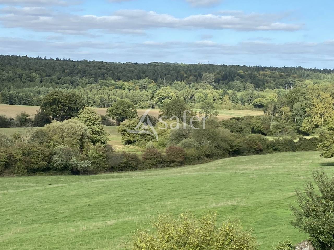 Explotación forestal En venta Orne