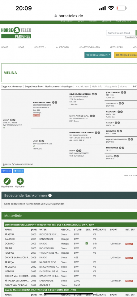 Caballo castrado Zangersheide En venta 2022 Negro por Emidor z