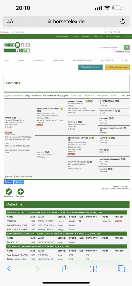 Caballo castrado Zangersheide En venta 2022 Negro por Emidor z