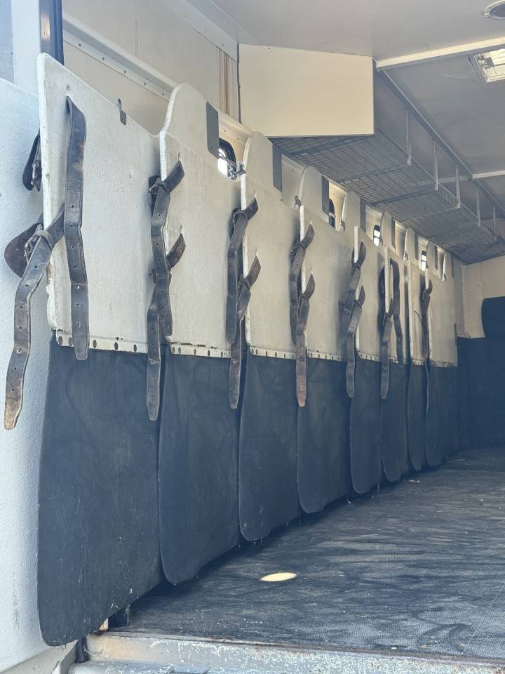 Camión para caballos Scania 94XS 2000 De segunda mano