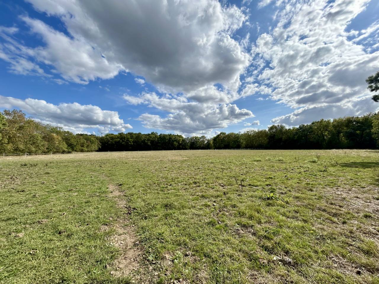 Propiedad ecuestre En venta Loira Atlántico