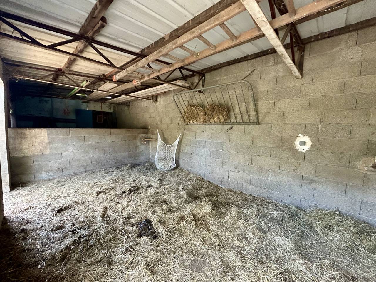 Propiedad ecuestre En venta Loira Atlántico