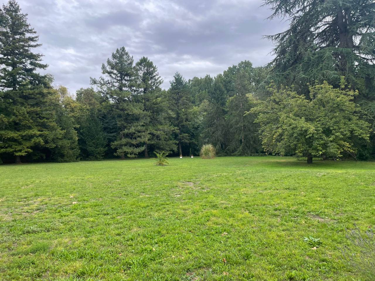 Propiedad ecuestre En venta Charente