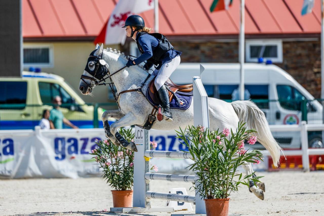 Poni C competición en venta. 