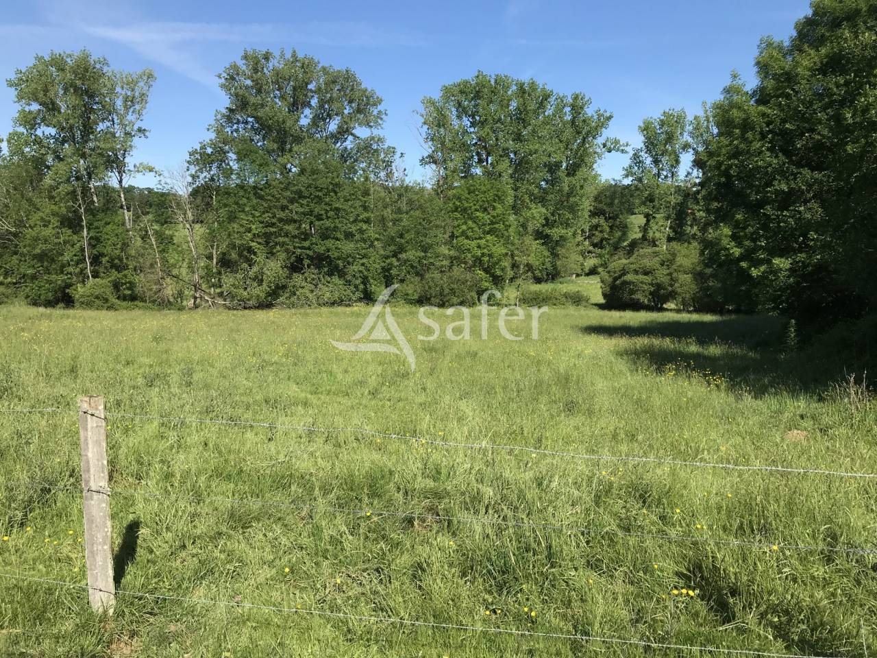 Explotación agrícola En venta Charente