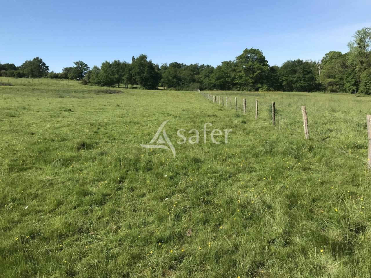 Explotación agrícola En venta Charente