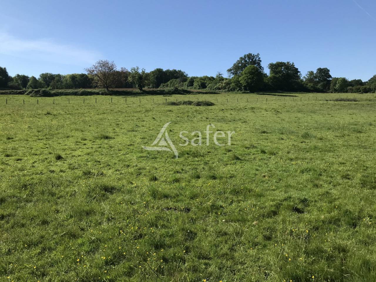 Explotación agrícola En venta Charente