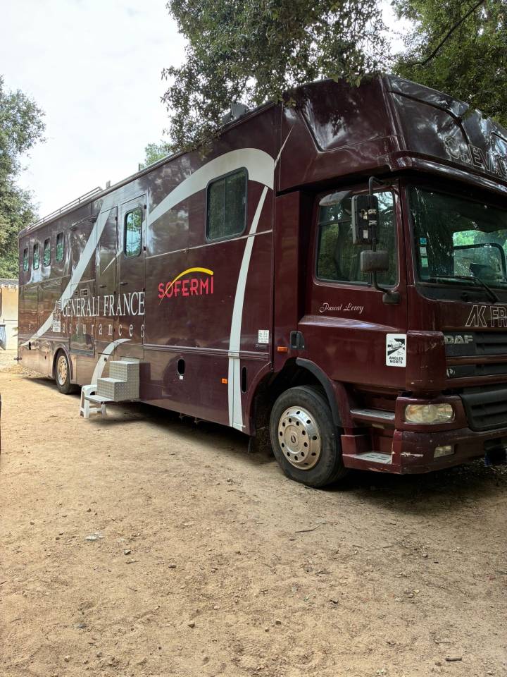 Camión para caballos Daf  2003 De segunda mano