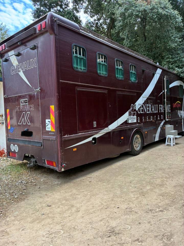 Camión para caballos Daf  2003 De segunda mano