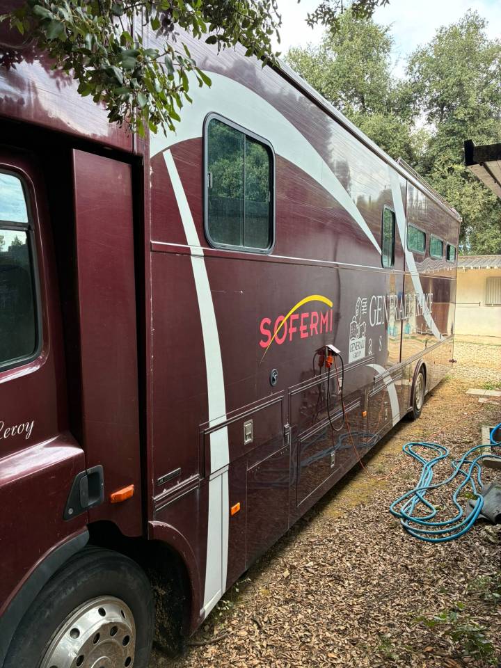 Camión para caballos Daf  2003 De segunda mano