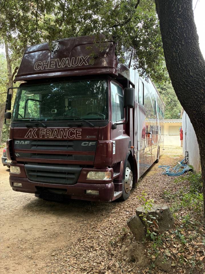 Camión para caballos Daf  2003 De segunda mano