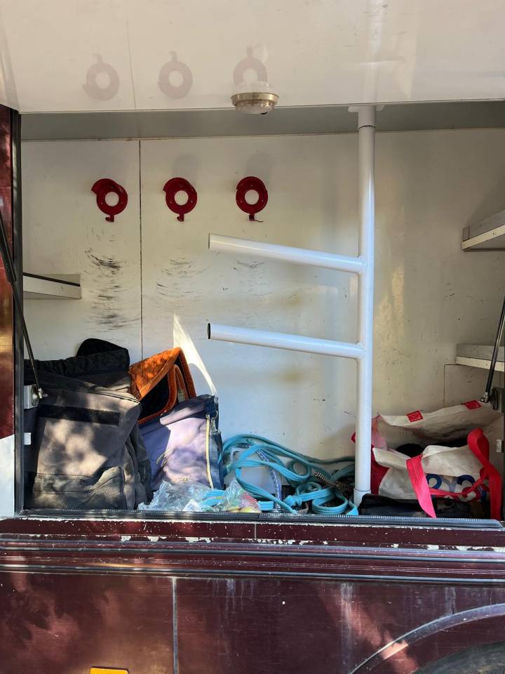 Camión para caballos Daf  2003 De segunda mano