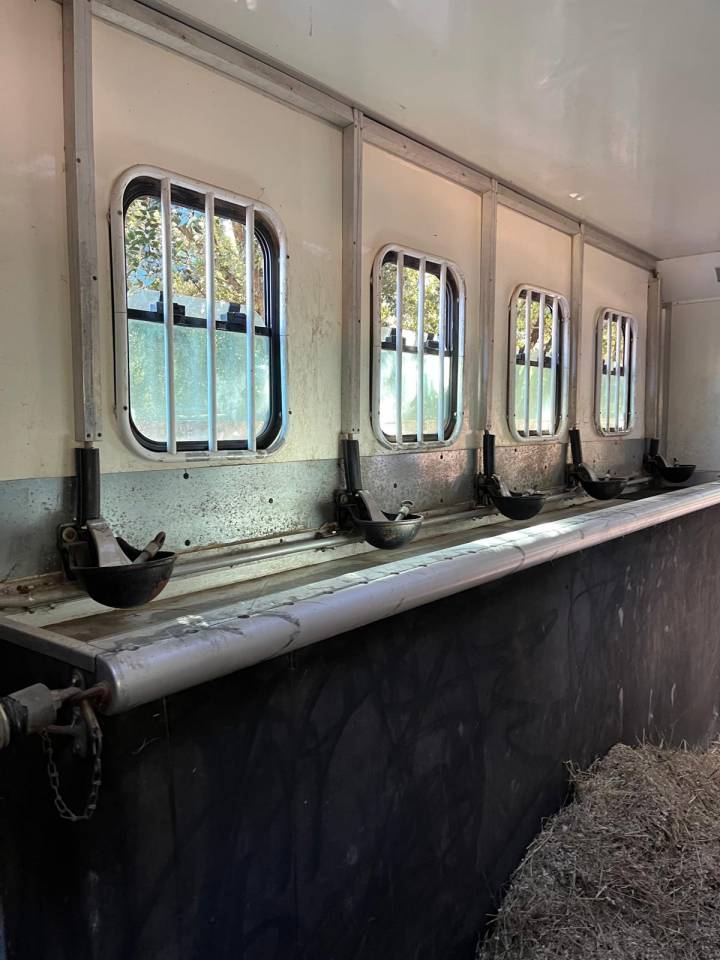 Camión para caballos Daf  2003 De segunda mano