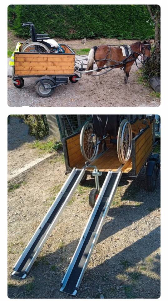 Coche enganches - Otros enganches   