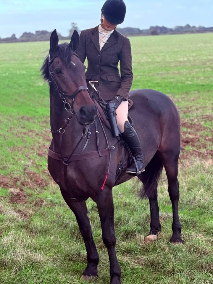 Irish porny for sale