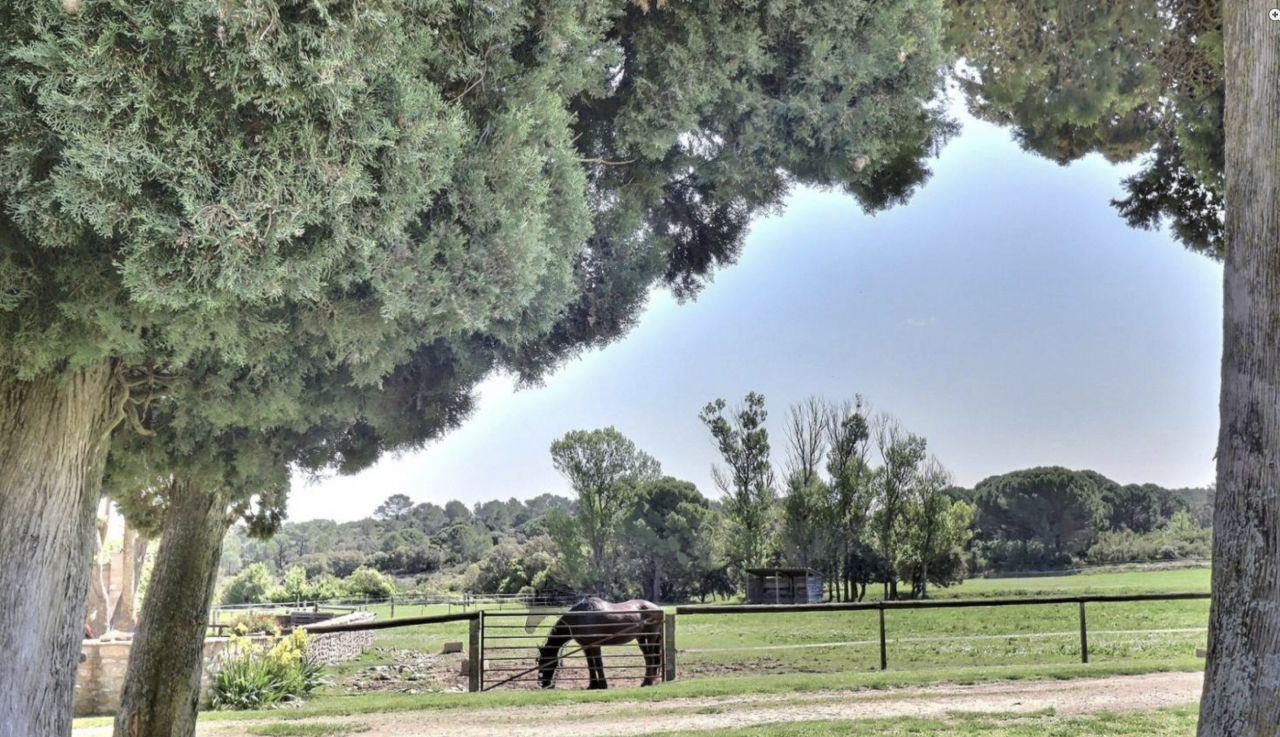 Propiedad ecuestre En venta Gard