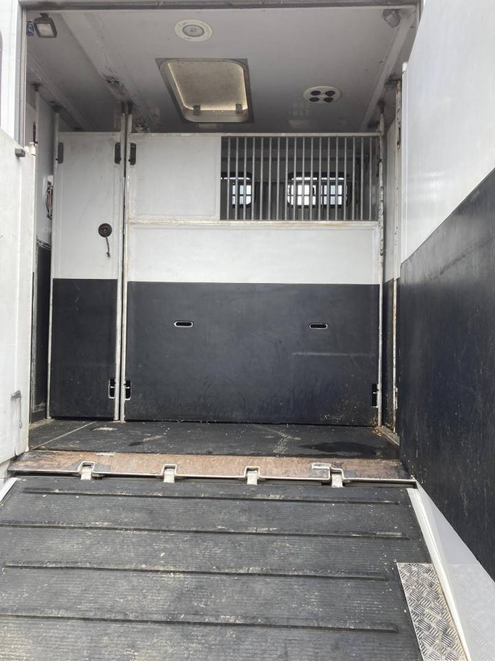 Camión para caballos Volvo CAMION MTM 2012 De segunda mano