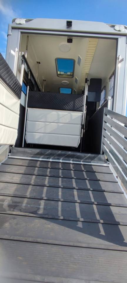 Camión para caballos Man MAN - TGM 2018 De segunda mano