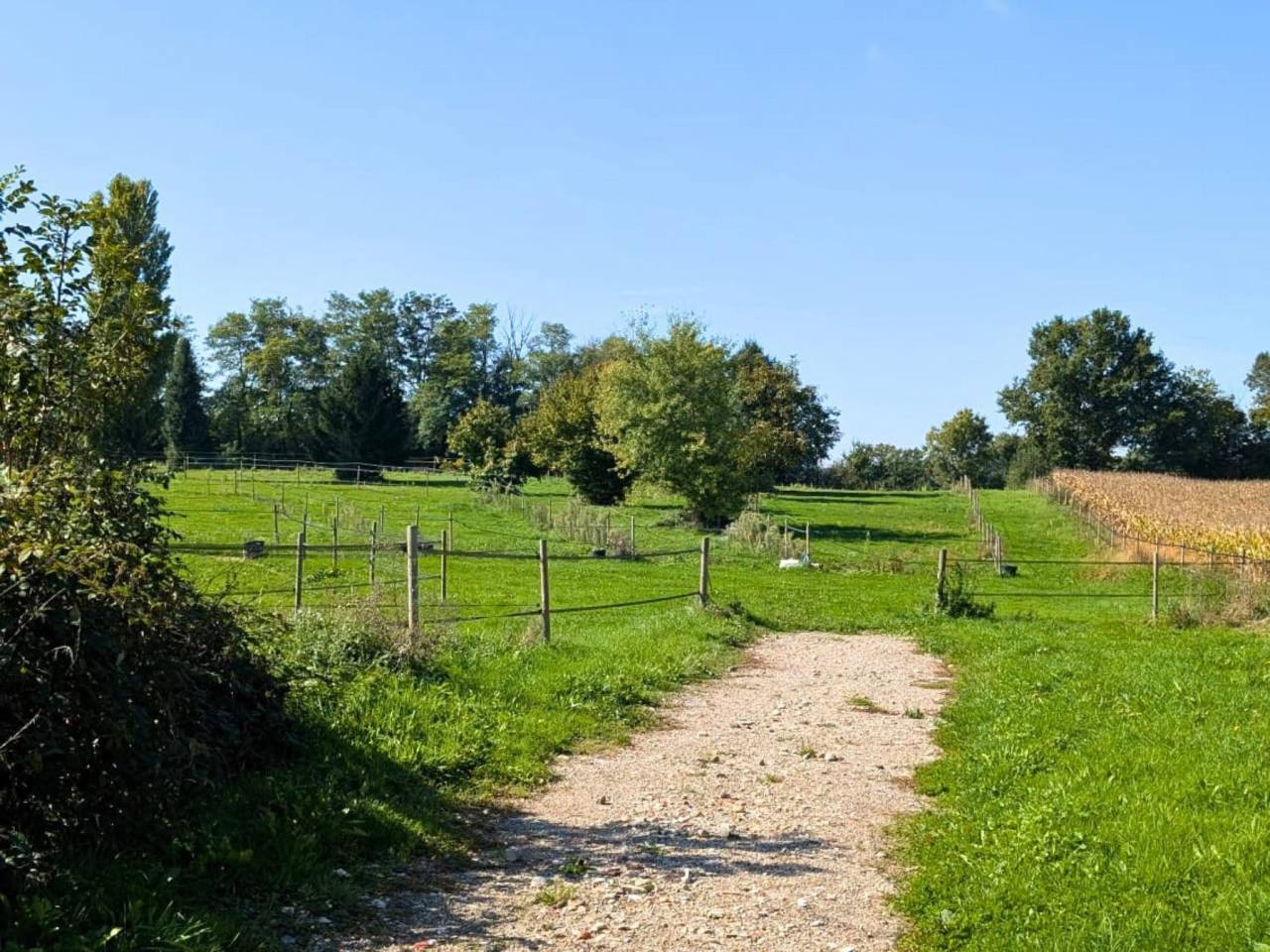 Propiedad ecuestre En venta Ain