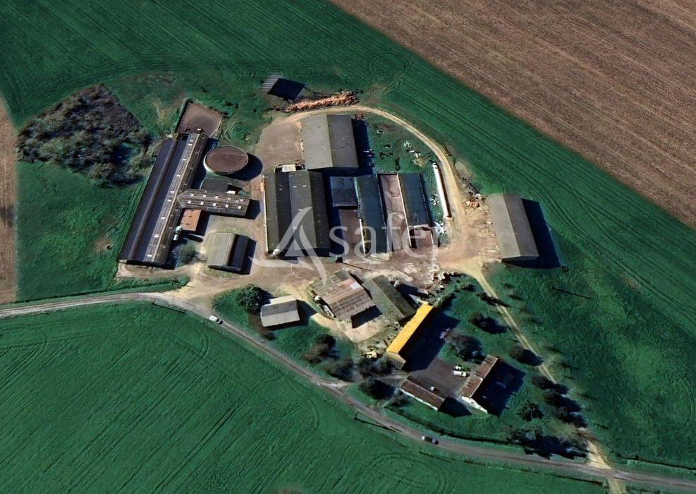 Explotación lechera En venta Indre y Loira