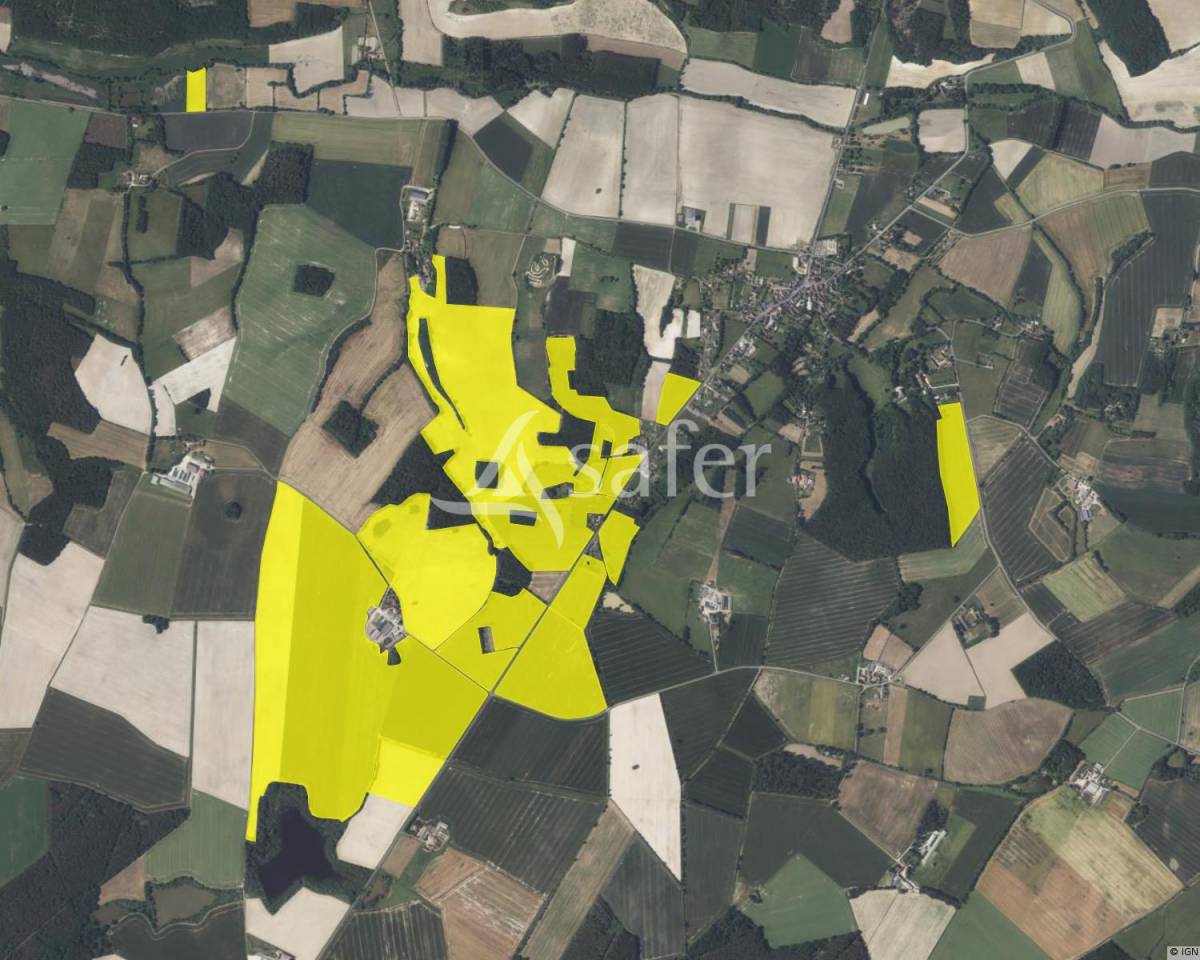 Explotación lechera En venta Indre y Loira