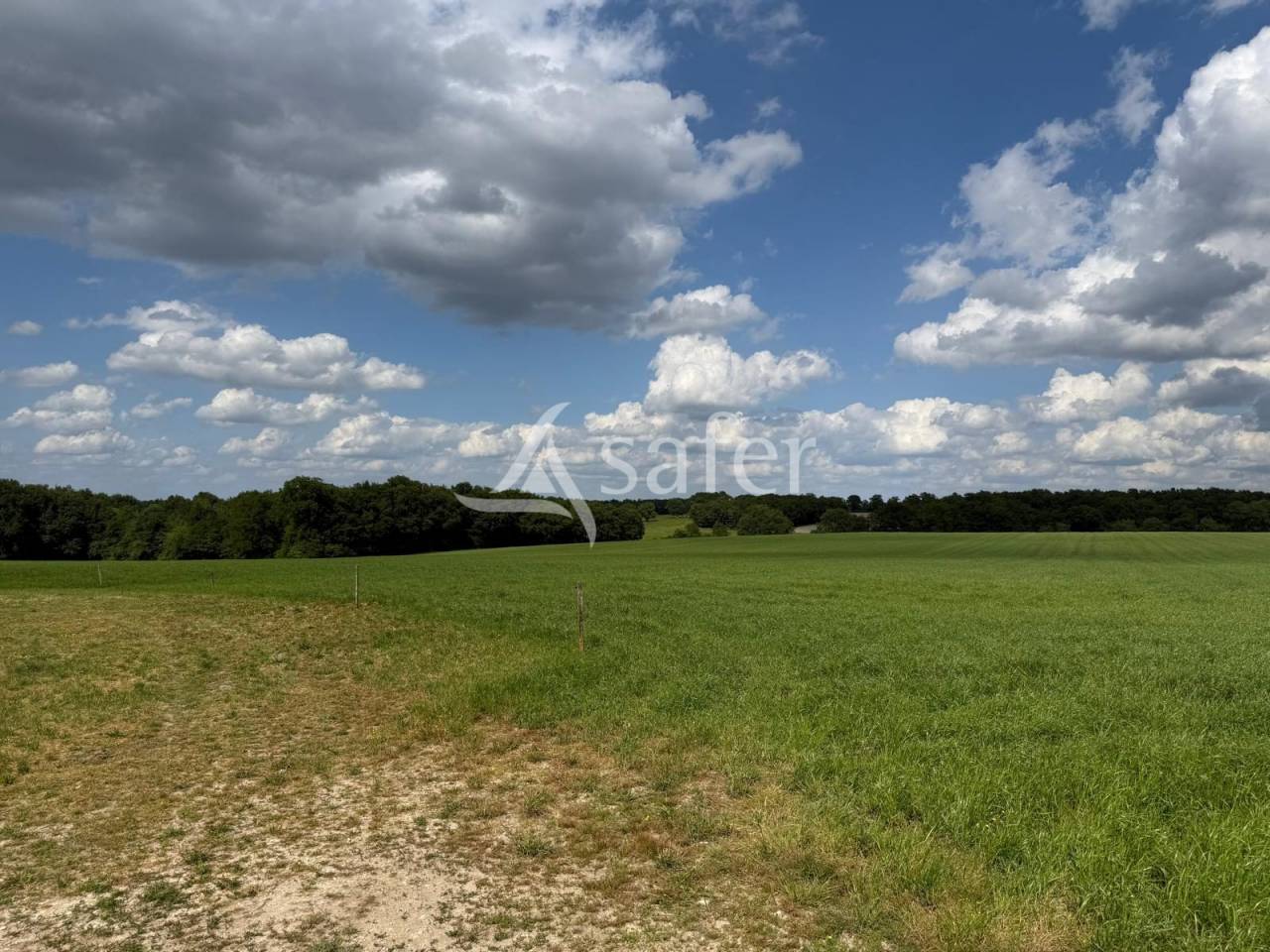 Explotación lechera En venta Indre y Loira