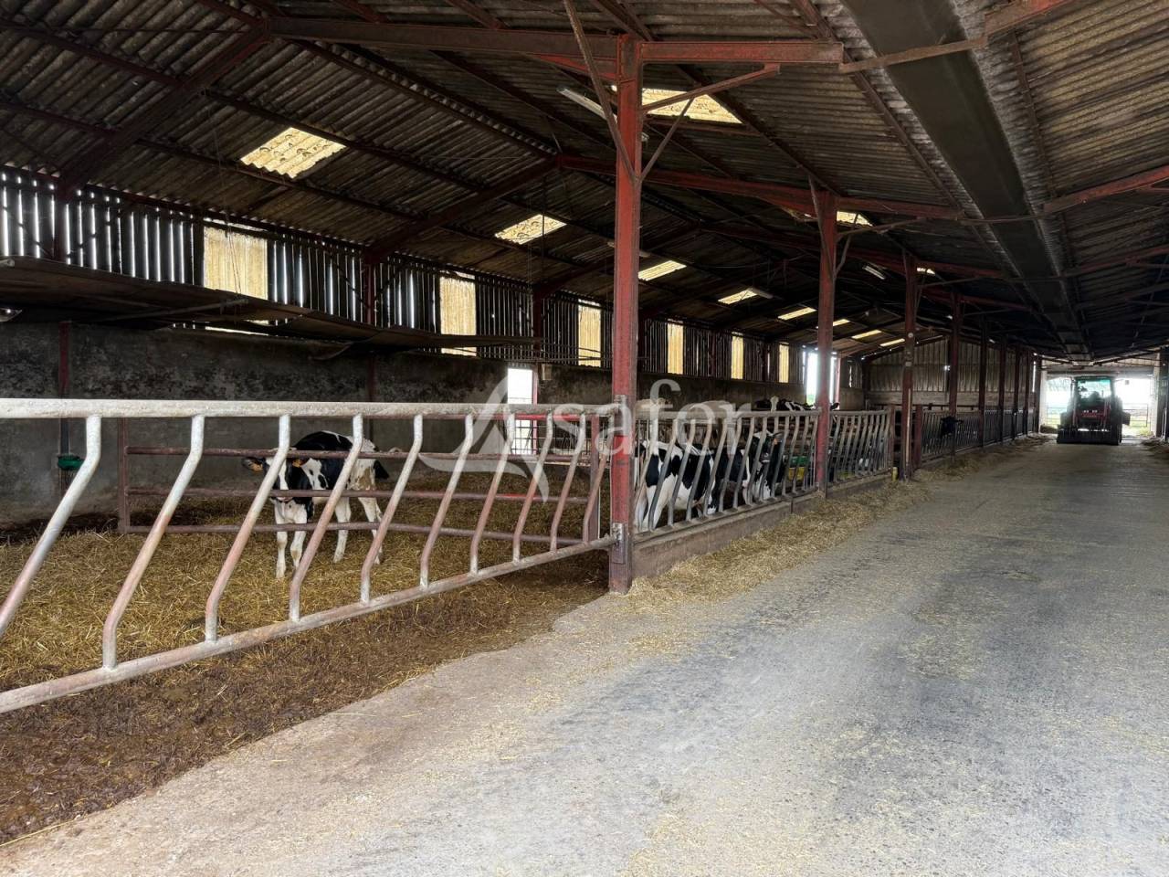 Explotación lechera En venta Indre y Loira