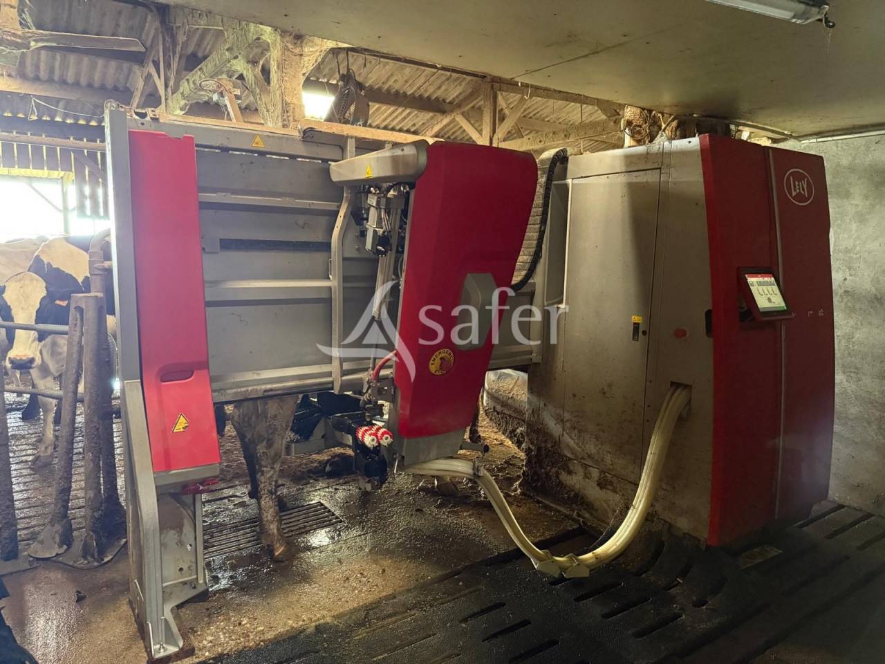 Explotación lechera En venta Indre y Loira