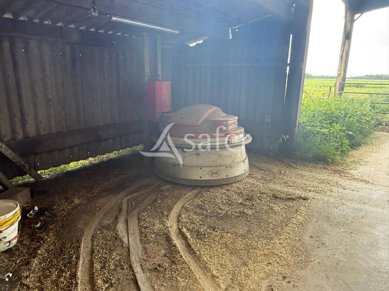 Explotación lechera En venta Indre y Loira