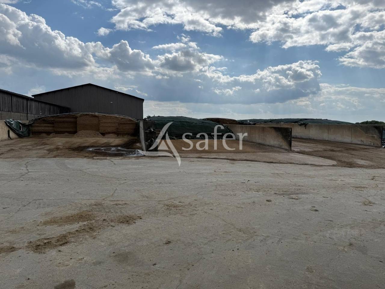 Explotación lechera En venta Indre y Loira