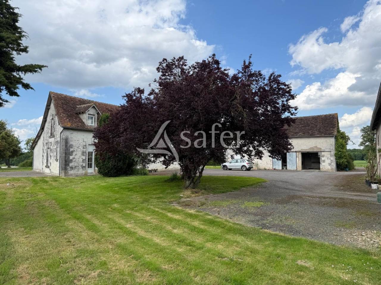 Explotación lechera En venta Indre y Loira