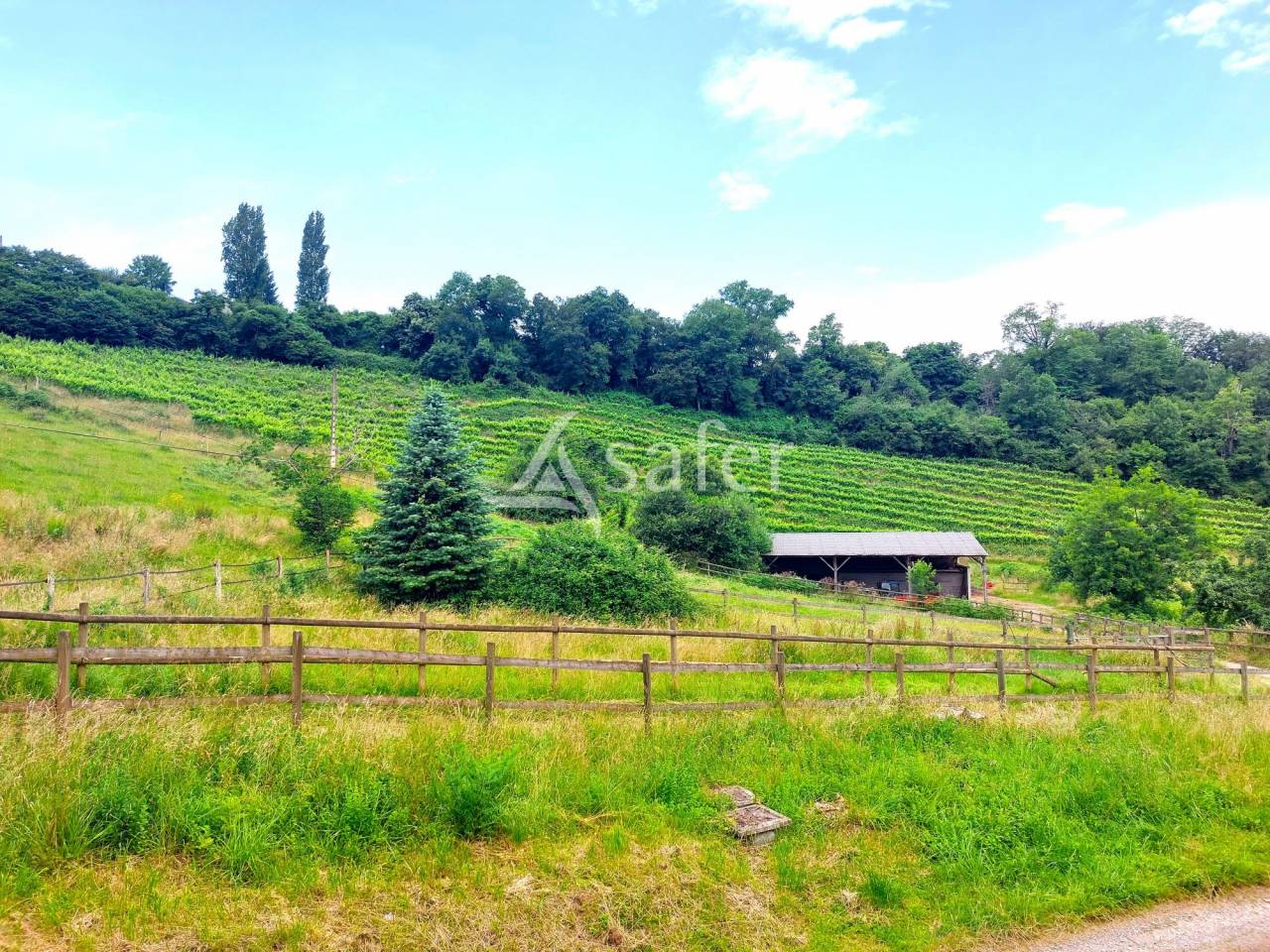 Explotación agrícola En venta Pirineos Atlánticos