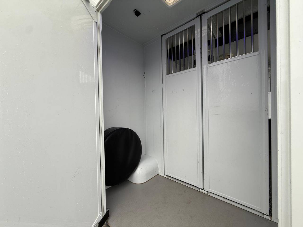 Furgoneta para caballos MTM FILOVAN MASTER  2016 De segunda mano