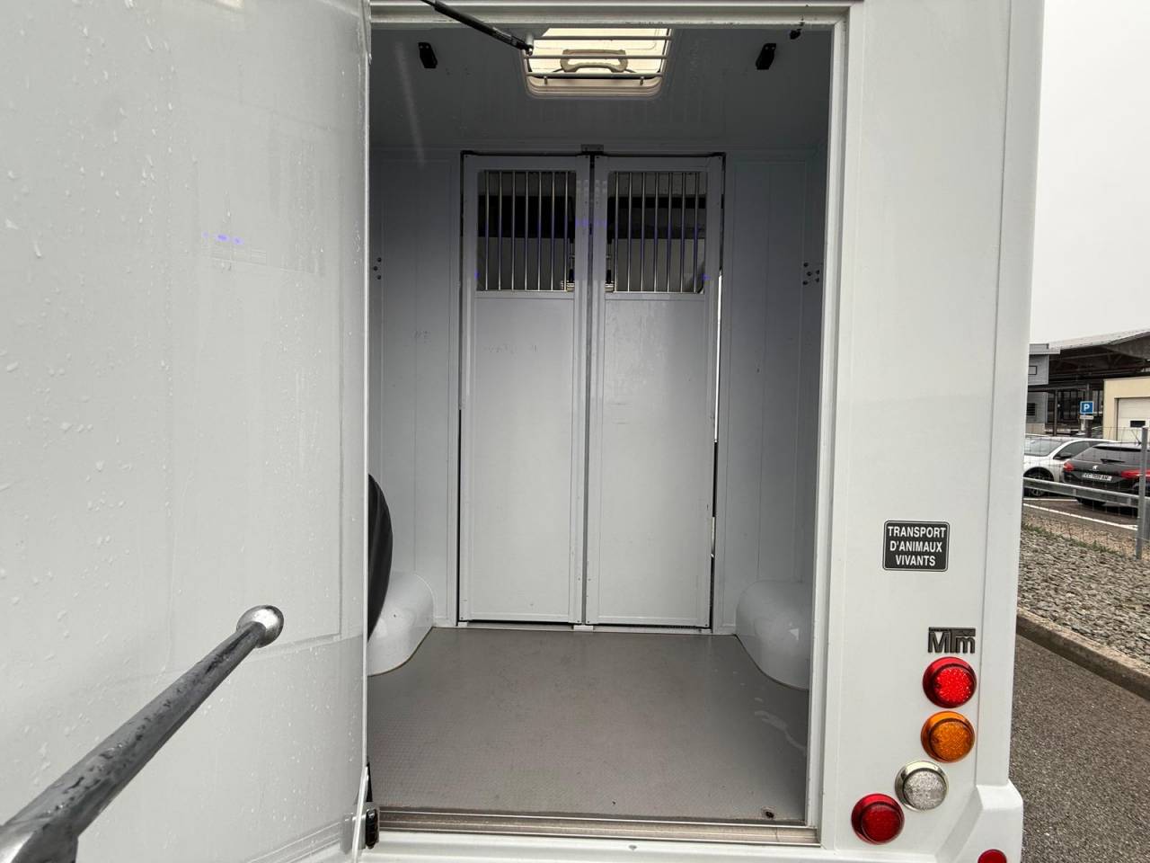 Furgoneta para caballos MTM FILOVAN MASTER  2016 De segunda mano