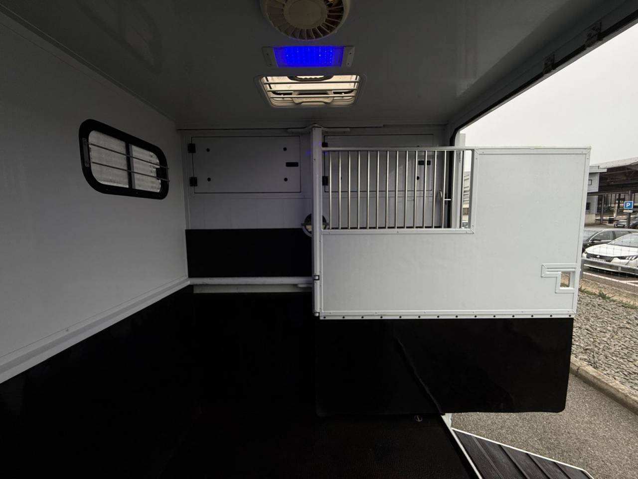 Furgoneta para caballos MTM FILOVAN MASTER  2016 De segunda mano