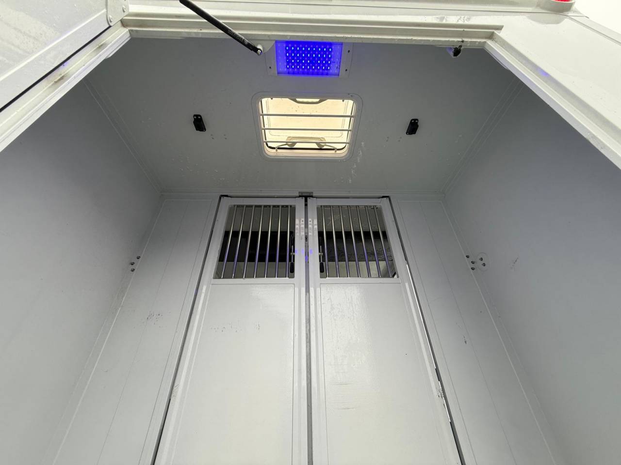 Furgoneta para caballos MTM FILOVAN MASTER  2016 De segunda mano