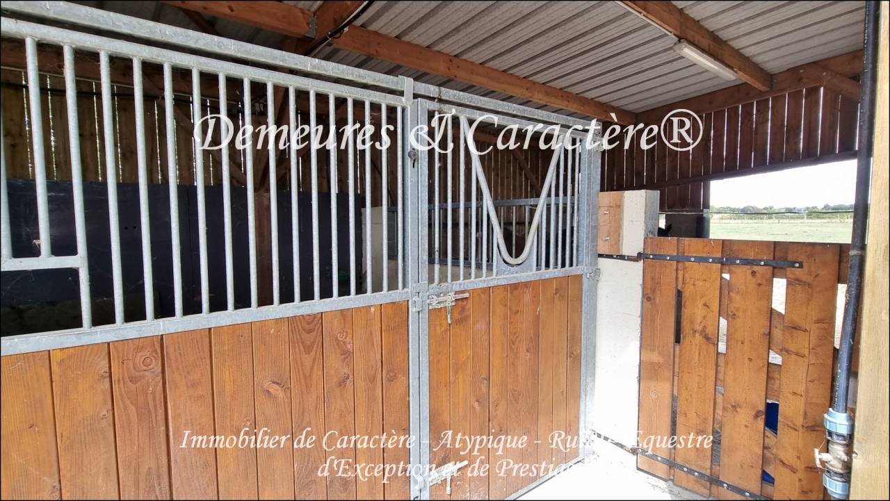Propiedad ecuestre En venta Loira Atlántico