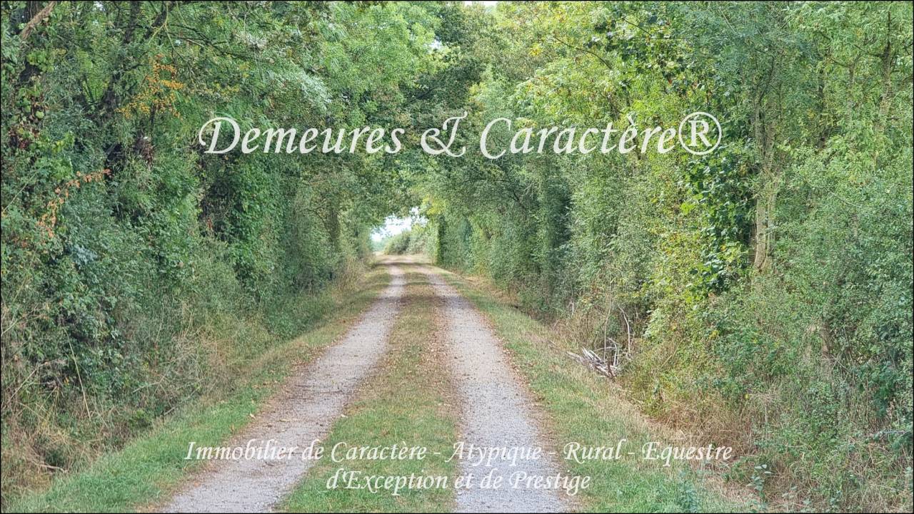 Propiedad ecuestre En venta Loira Atlántico