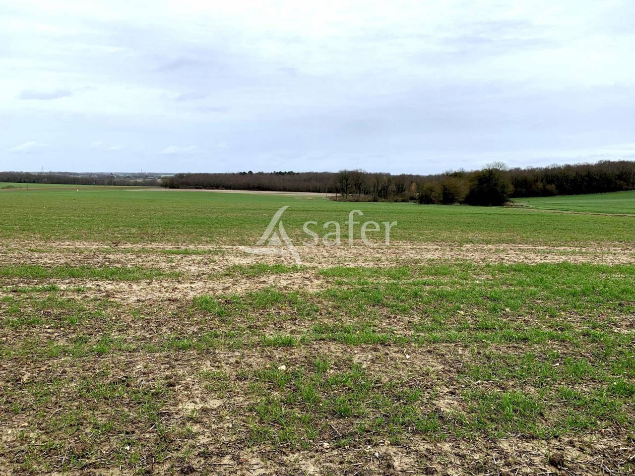 Explotación agrícola En venta Indre y Loira