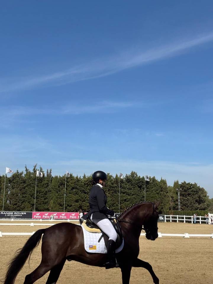 Caballo PRE en venta